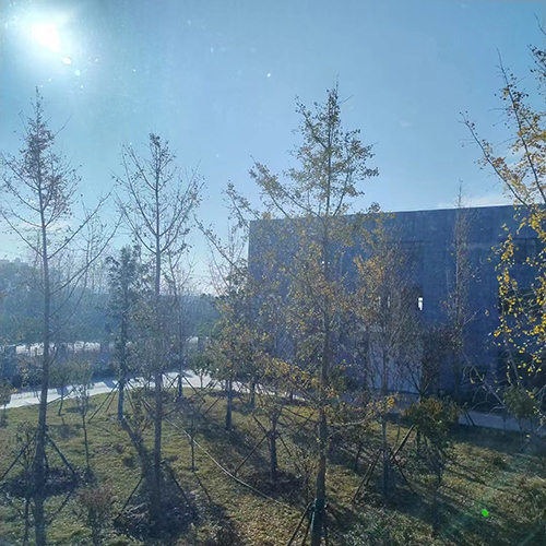 1702912667698445.jpg WechatIMG240.jpg